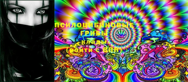 a pvp Вязьма