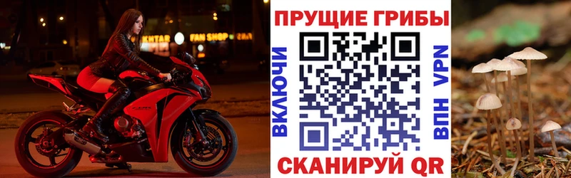 Галлюциногенные грибы GOLDEN TEACHER  как найти   Электроугли 
